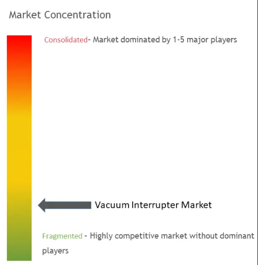 Vacuum Interrupter Market Concentration